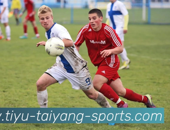 太阳城APP 封面图